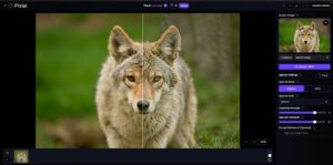 Process to upscale an image with pixi AI